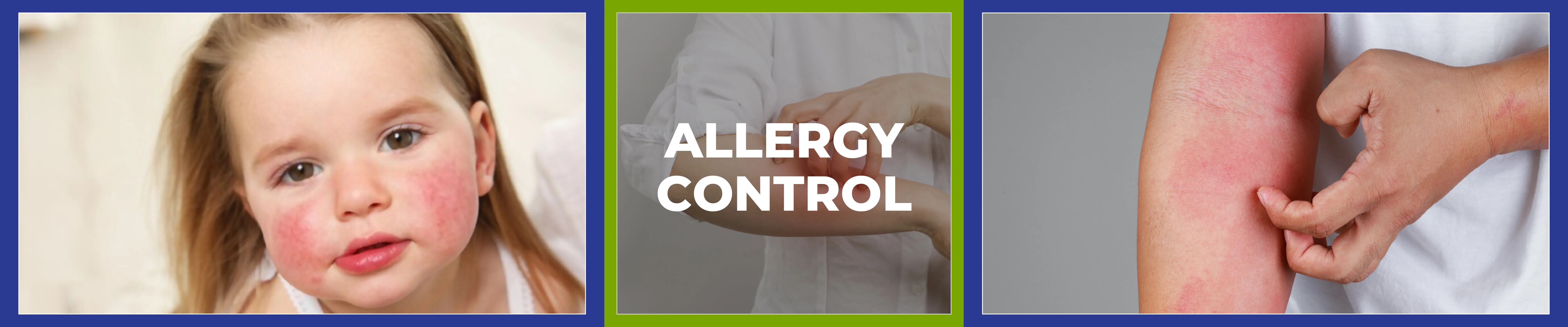 carpet cleaning in rockland, carpet cleaner in rockland, carpet cleaners in rockland, carpet cleaners in rockland, drapery cleaners in rockland, carpet cleaning in rockland, mattress cleaning in rockland, mattress cleaners in rockland, commercial carpet cleaning, commercial carpet cleaners in rockland, rockland rug cleaners, rug cleaning services in rockland same day carpet cleaning, same day rug cleaning