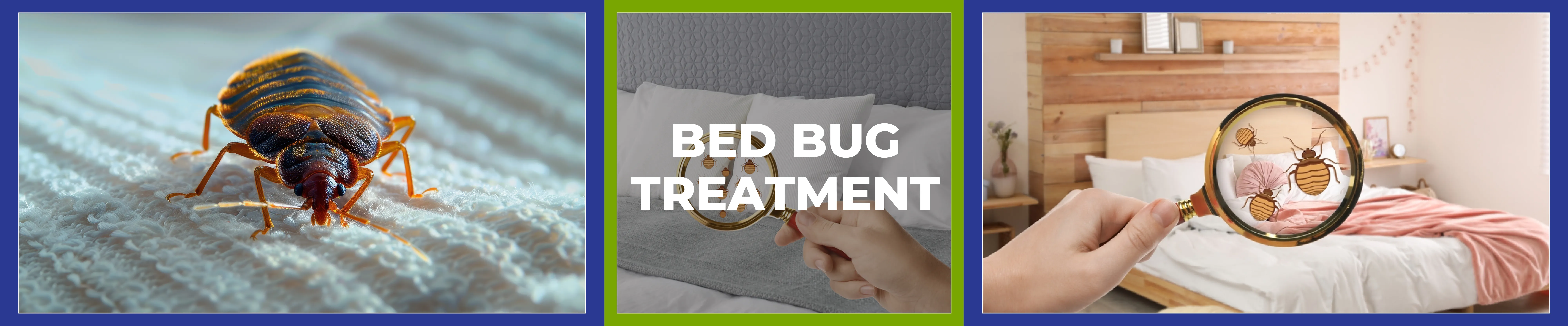 carpet cleaning in rockland, carpet cleaner in rockland, carpet cleaners in rockland, carpet cleaners in rockland, drapery cleaners in rockland, carpet cleaning in rockland, mattress cleaning in rockland, mattress cleaners in rockland, commercial carpet cleaning, commercial carpet cleaners in rockland, rockland rug cleaners, rug cleaning services in rockland same day carpet cleaning, same day rug cleaning