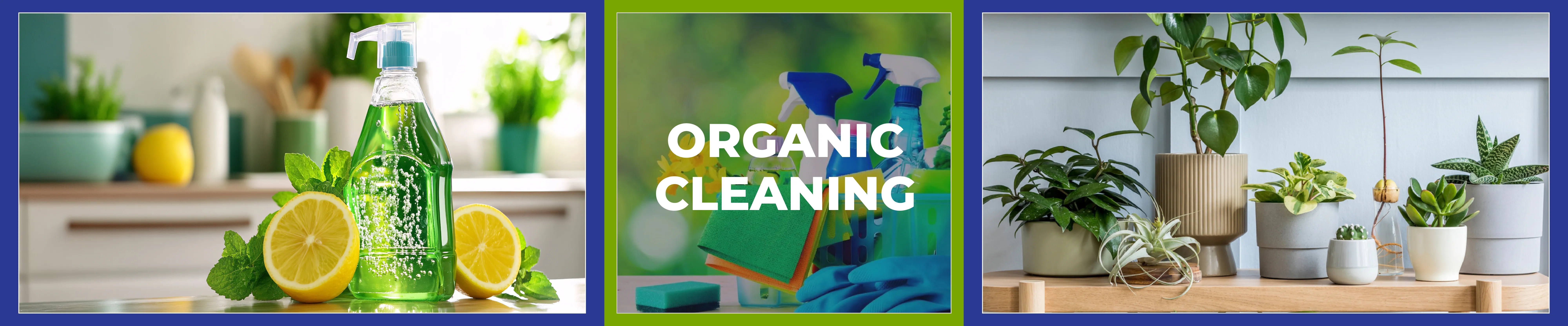 carpet cleaning in rockland, carpet cleaner in rockland, carpet cleaners in rockland, carpet cleaners in rockland, drapery cleaners in rockland, carpet cleaning in rockland, mattress cleaning in rockland, mattress cleaners in rockland, commercial carpet cleaning, commercial carpet cleaners in rockland, rockland rug cleaners, rug cleaning services in rockland same day carpet cleaning, same day rug cleaning