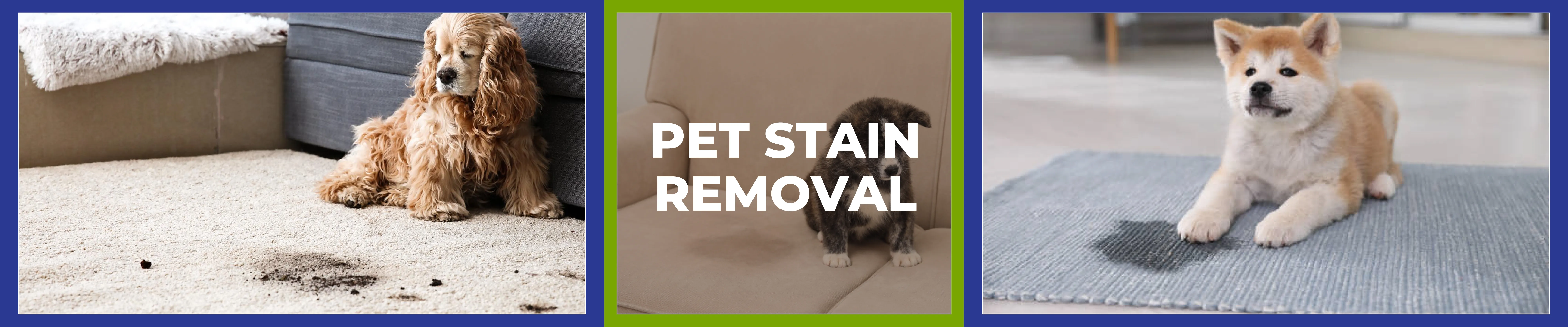 carpet cleaning in rockland, carpet cleaner in rockland, carpet cleaners in rockland, carpet cleaners in rockland, drapery cleaners in rockland, carpet cleaning in rockland, mattress cleaning in rockland, mattress cleaners in rockland, commercial carpet cleaning, commercial carpet cleaners in rockland, rockland rug cleaners, rug cleaning services in rockland same day carpet cleaning, same day rug cleaning