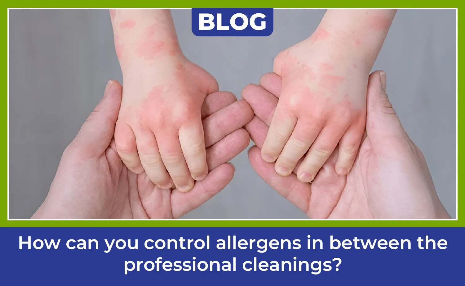 carpet cleaning in rockland, carpet cleaner in rockland, carpet cleaners in rockland, carpet cleaners in rockland, drapery cleaners in rockland, carpet cleaning in rockland, mattress cleaning in rockland, mattress cleaners in rockland, commercial carpet cleaning, commercial carpet cleaners in rockland, rockland rug cleaners, rug cleaning services in rockland same day carpet cleaning, same day rug cleaning