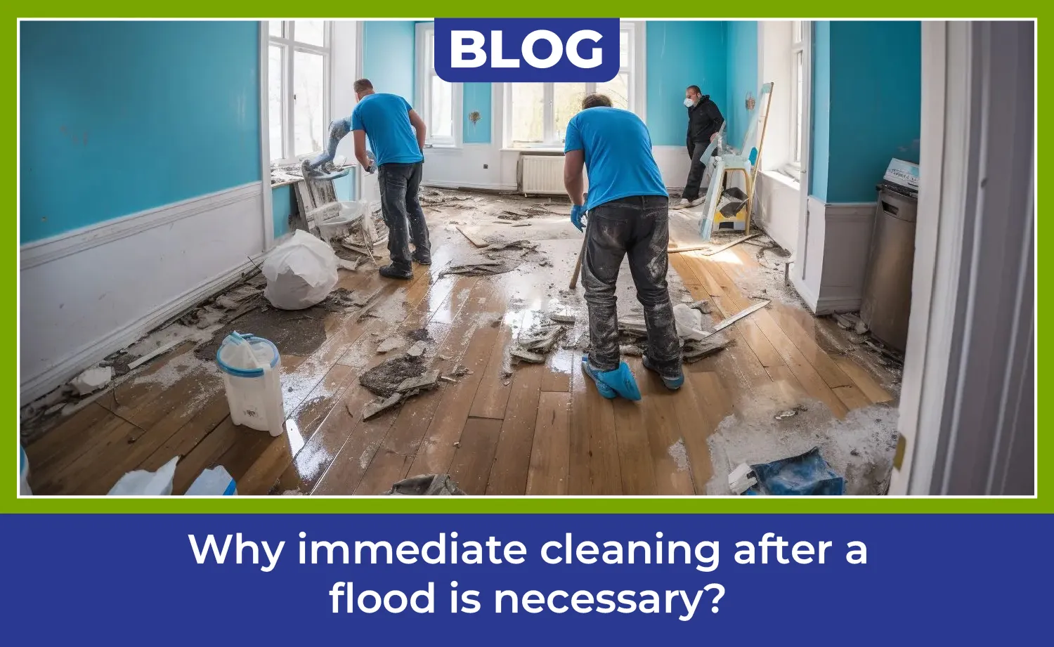 carpet cleaning in rockland, carpet cleaner in rockland, carpet cleaners in rockland, carpet cleaners in rockland, drapery cleaners in rockland, carpet cleaning in rockland, mattress cleaning in rockland, mattress cleaners in rockland, commercial carpet cleaning, commercial carpet cleaners in rockland, rockland rug cleaners, rug cleaning services in rockland same day carpet cleaning, same day rug cleaning